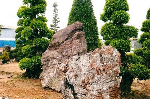Tung-son-thach-hoa-vien-4