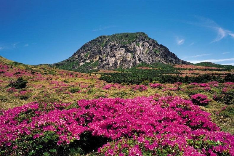 6-diem-den-jeju-hq-7