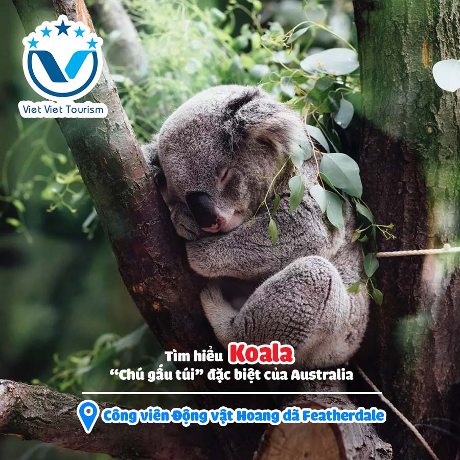 VVT Featherdale Wildlife Park 2