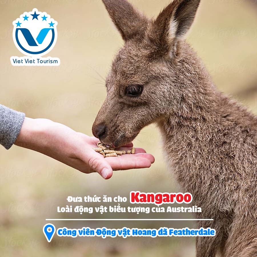 VVT Featherdale Wildlife Park 3