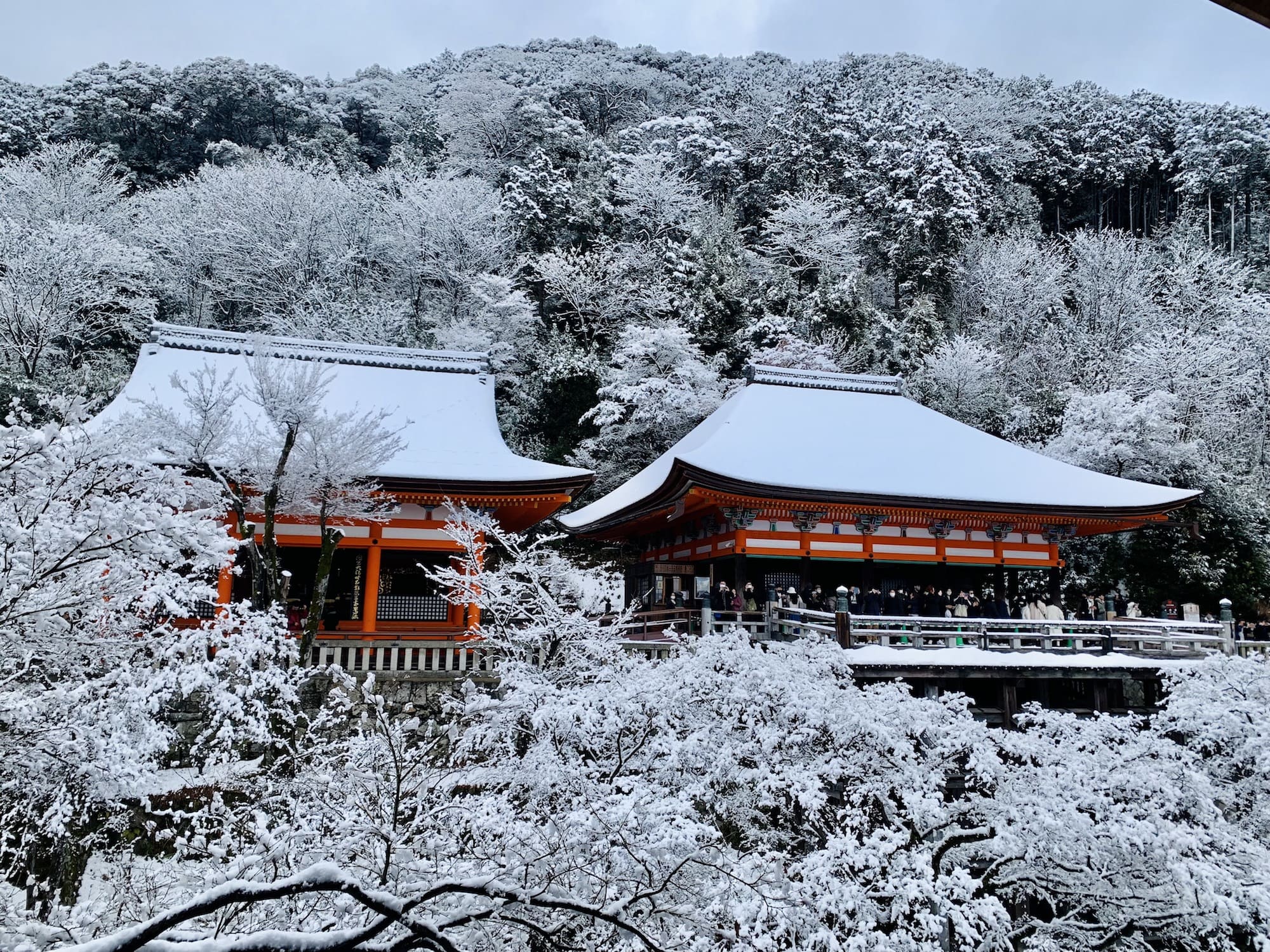 Kyomizu tuyết 1