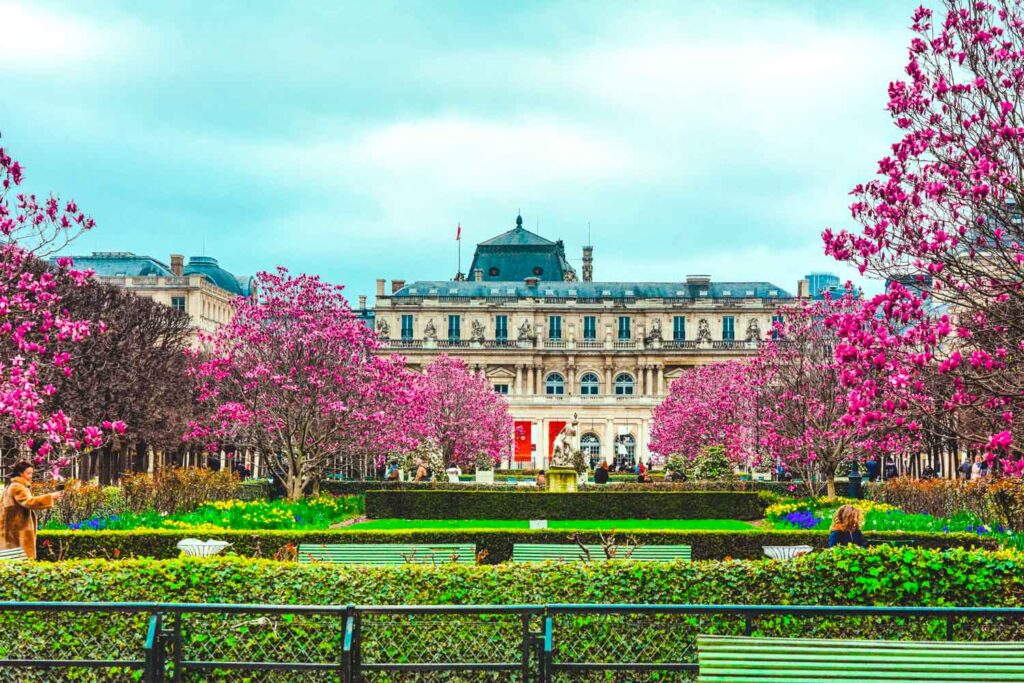 Luxembourg Garden spring Paris cherry blossoms 