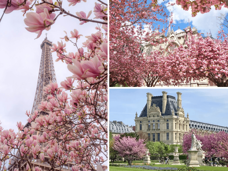 Paris 1