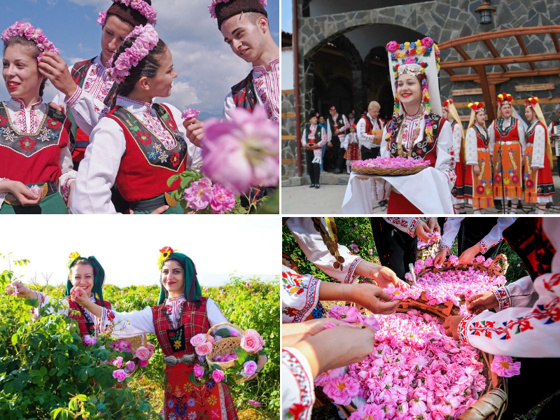 bulgarian rose festival