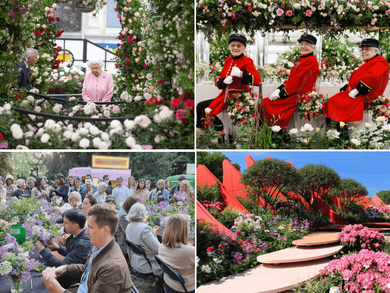 chelsea flower festival 1