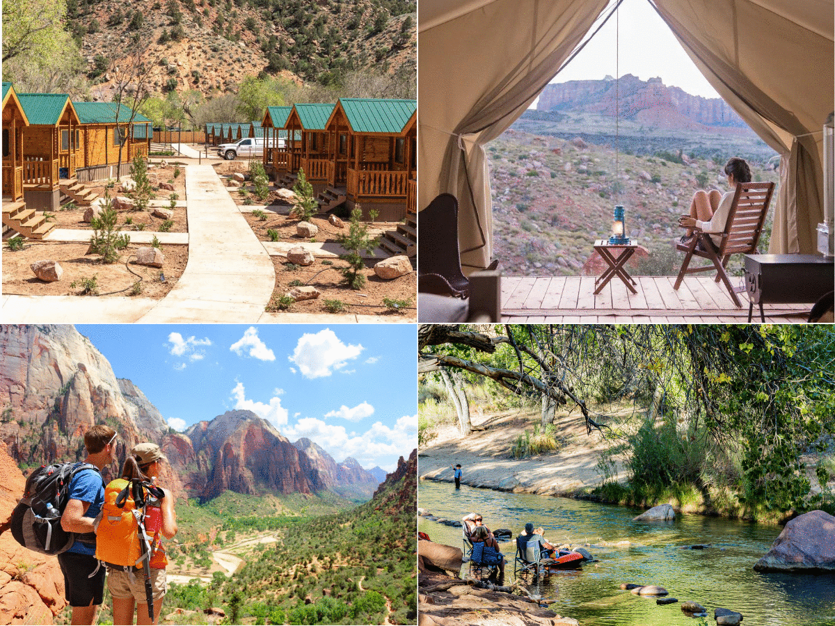 zion national park camping1 1