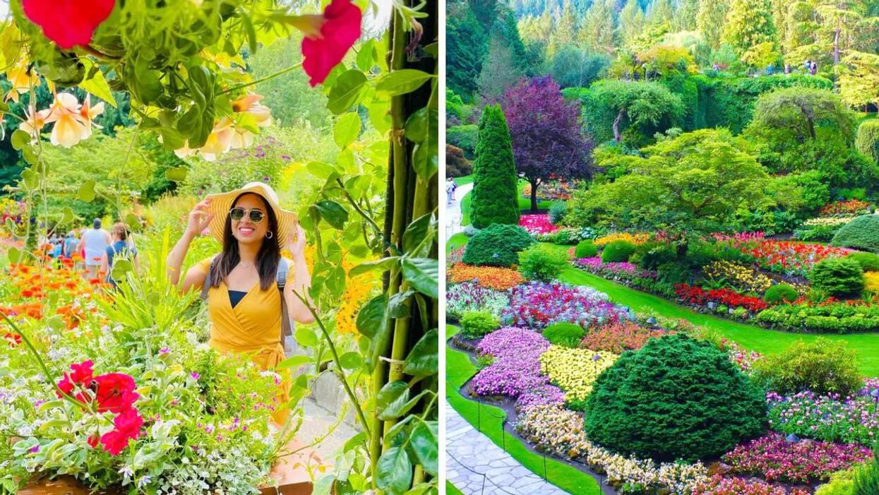 Butchart Gardens in summer1