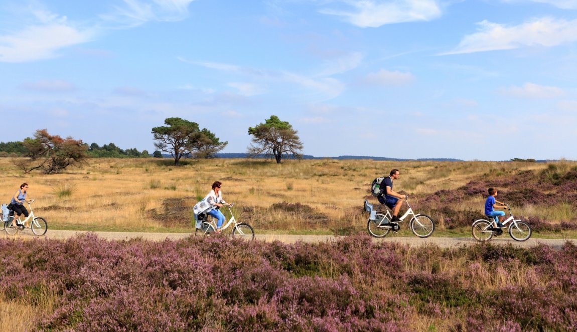 Hoge Veluwe1