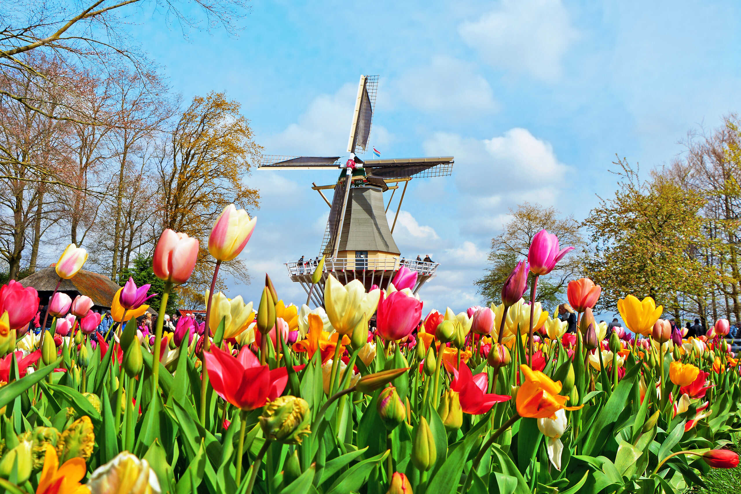 Keukenhof5 1