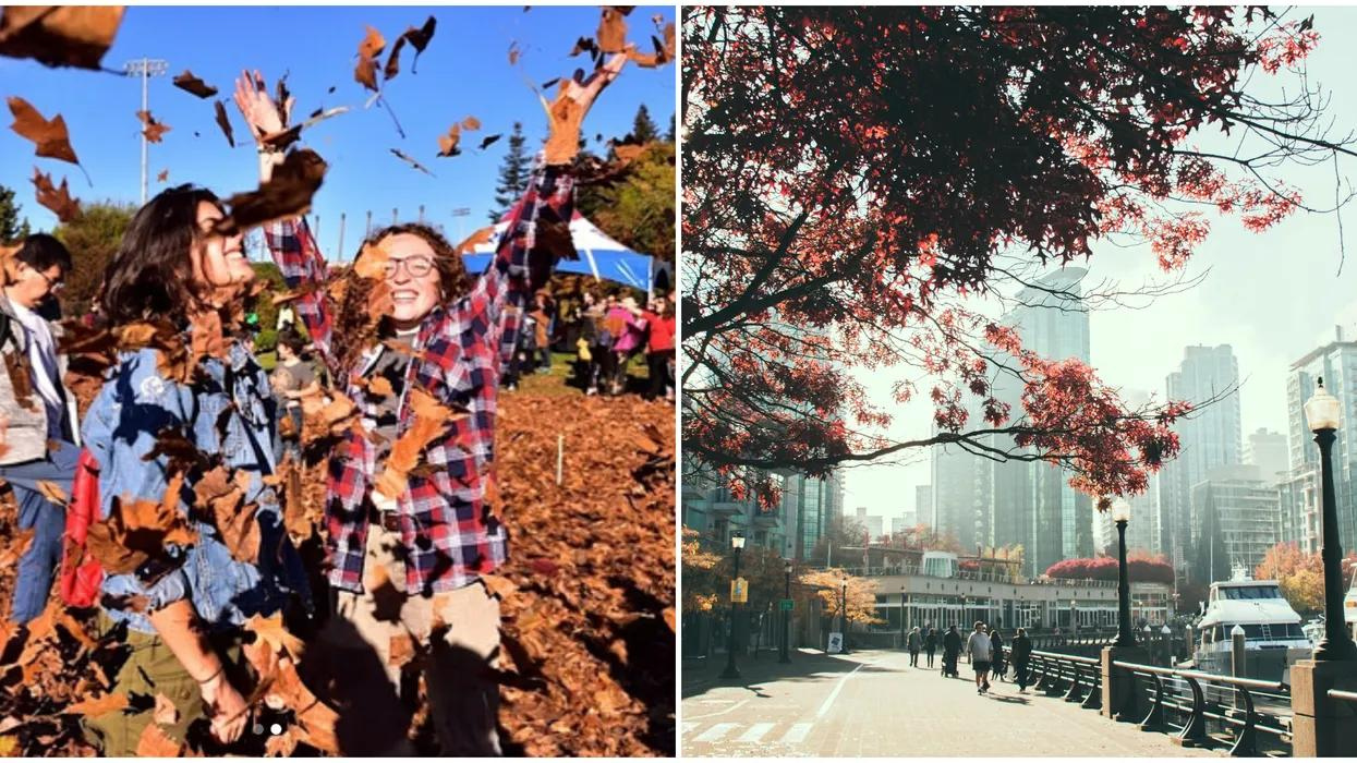 Vancouver autumn