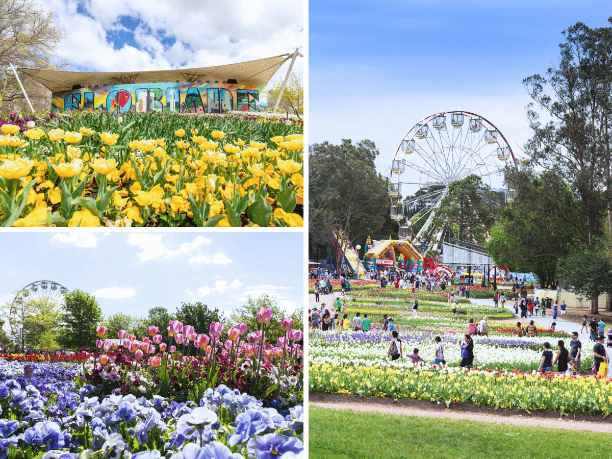 Commonwealth Park Floriade 1