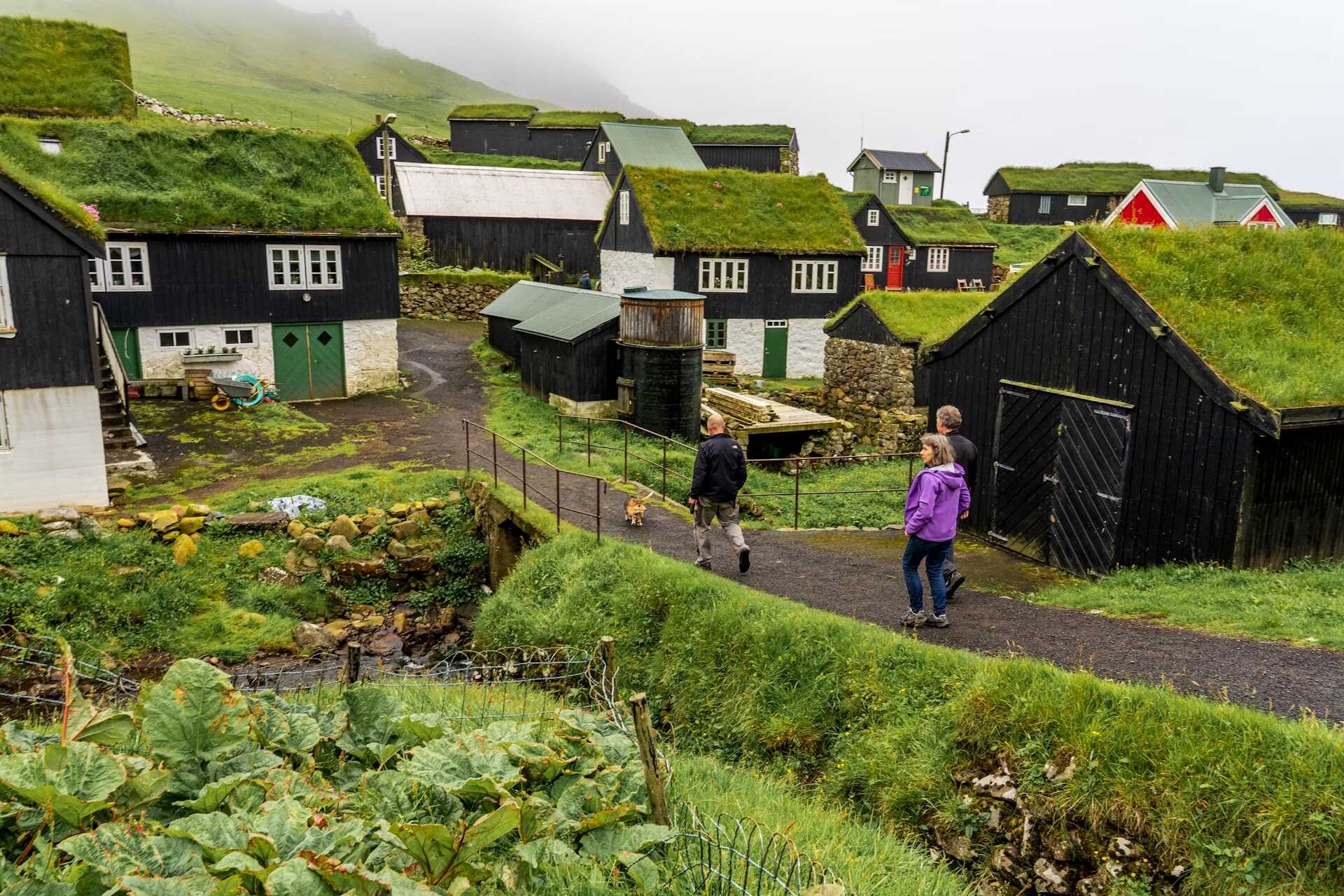 FaroeIslands 92 1 1