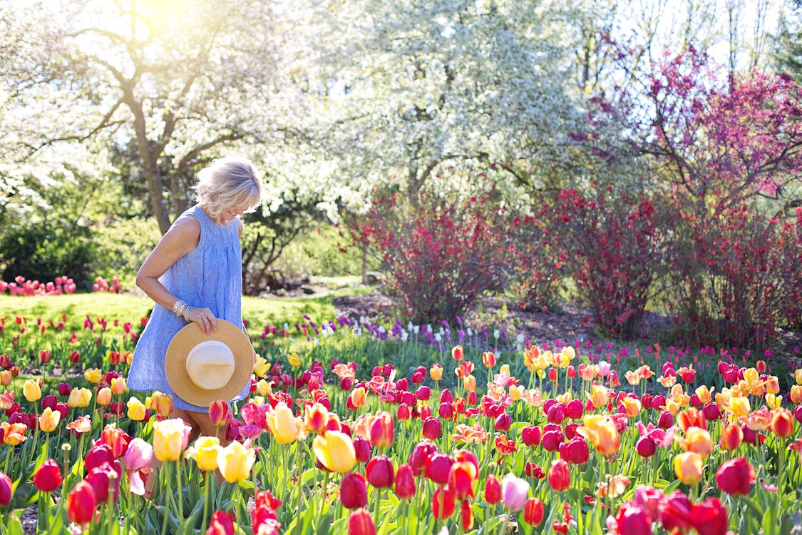 Floral Wonderland Floriade