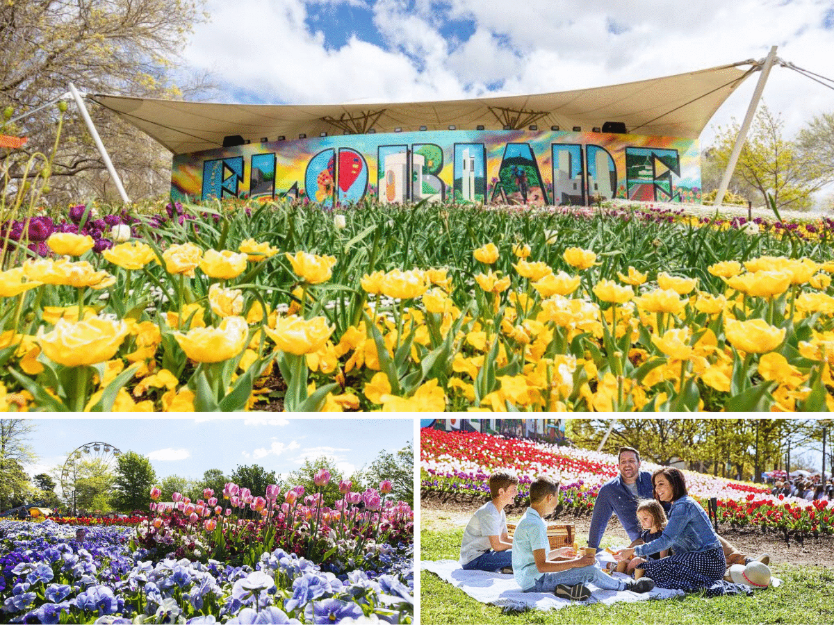 LỄ HỘI HOA FLORIADE 1