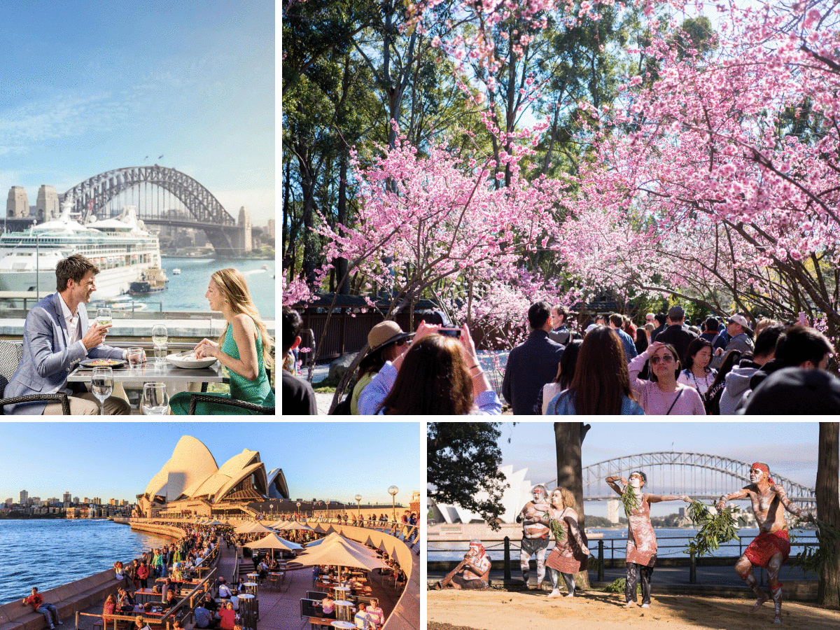 Sydney spring culture 1