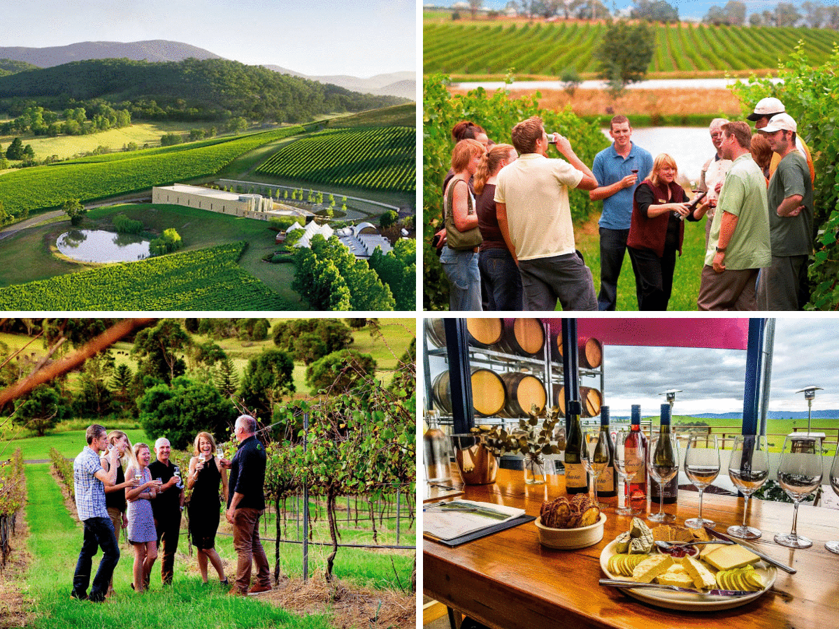 Yarra Valley vineyards 1