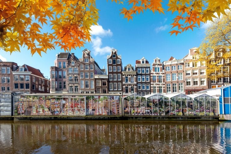 Trải nghiệm chợ hoa và ẩm thực địa phương ở Amsterdam