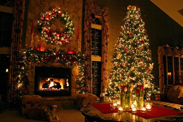 Cây thông Noel: Từ biểu tượng thiên nhiên đến phép màu mùa đông
