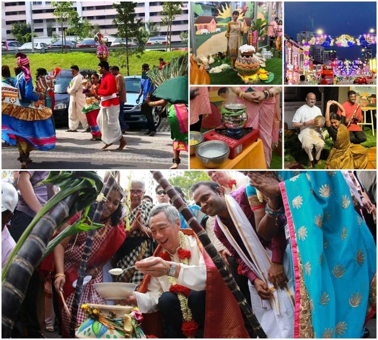Lễ hội Pongal – Sắc xuân của cộng đồng người Ấn tại Singapore