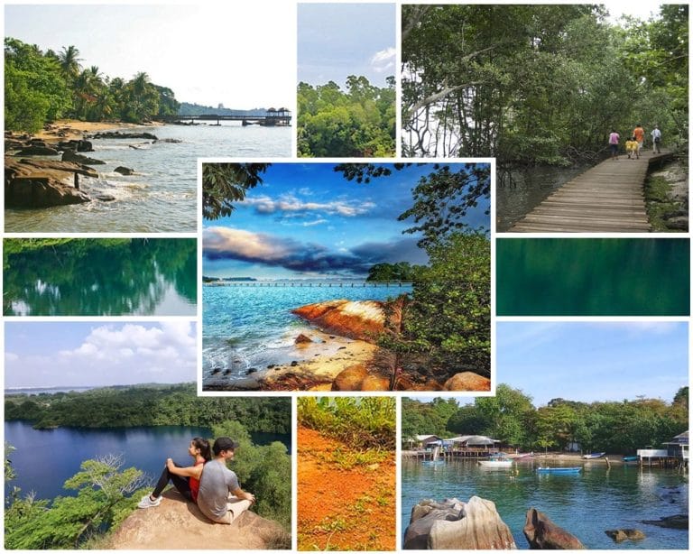 Chek Jawa – Nơi thiên nhiên nguyên sơ thì thầm giữa lòng Singapore