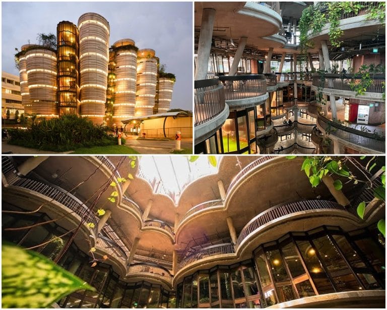 Giữa Singapore hiện đại, The Hive nổi bật như một chõ hấp Dimsum khổng lồ