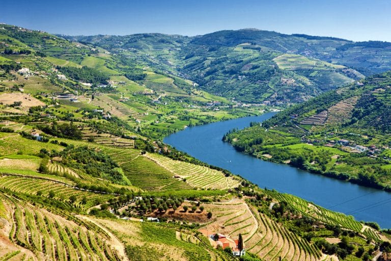Lạc bước giữa Thung lũng Douro – “Trái tim thơ mộng” của Bồ Đào Nha