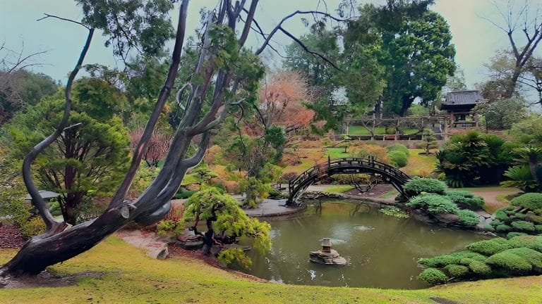 Khu vườn Nhật Bản tại Singapore: Khi thiên nhiên và triết lý sống hòa làm một