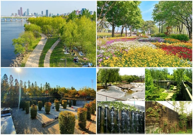 Seonyudo Park – Ốc đảo xanh giữa lòng Seoul nhộn nhịp