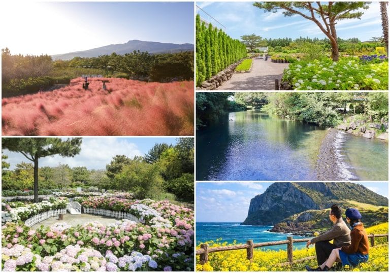 Hueree Natural Park – Điểm check-in ngập tràn sắc hoa ở đảo Jeju, Hàn Quốc