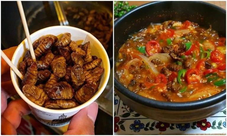 Beondegi – Khi văn hóa ẩm thực Hàn Quốc thử thách giới hạn du khách