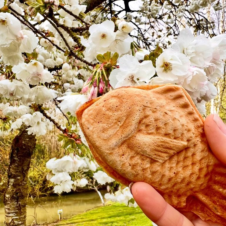 Bánh cá Taiyaki – Từ món bánh đường phố đến biểu tượng ẩm thực Nhật Bản