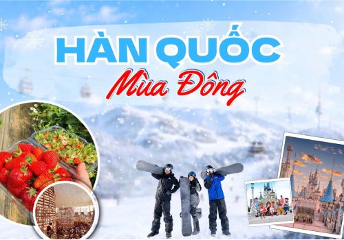 TOUR HÀN QUỐC - MÙA ĐÔNG 2026 [5N4Đ] LOTTE WORLD  - CHECK IN KHU TRƯỢT TUYẾT - HÁI DÂU – SHOPPING THẢ GA
